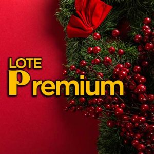 Lote Navidad Premium